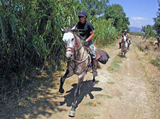Spain-Catalonia-Wild Coast Wine Trail